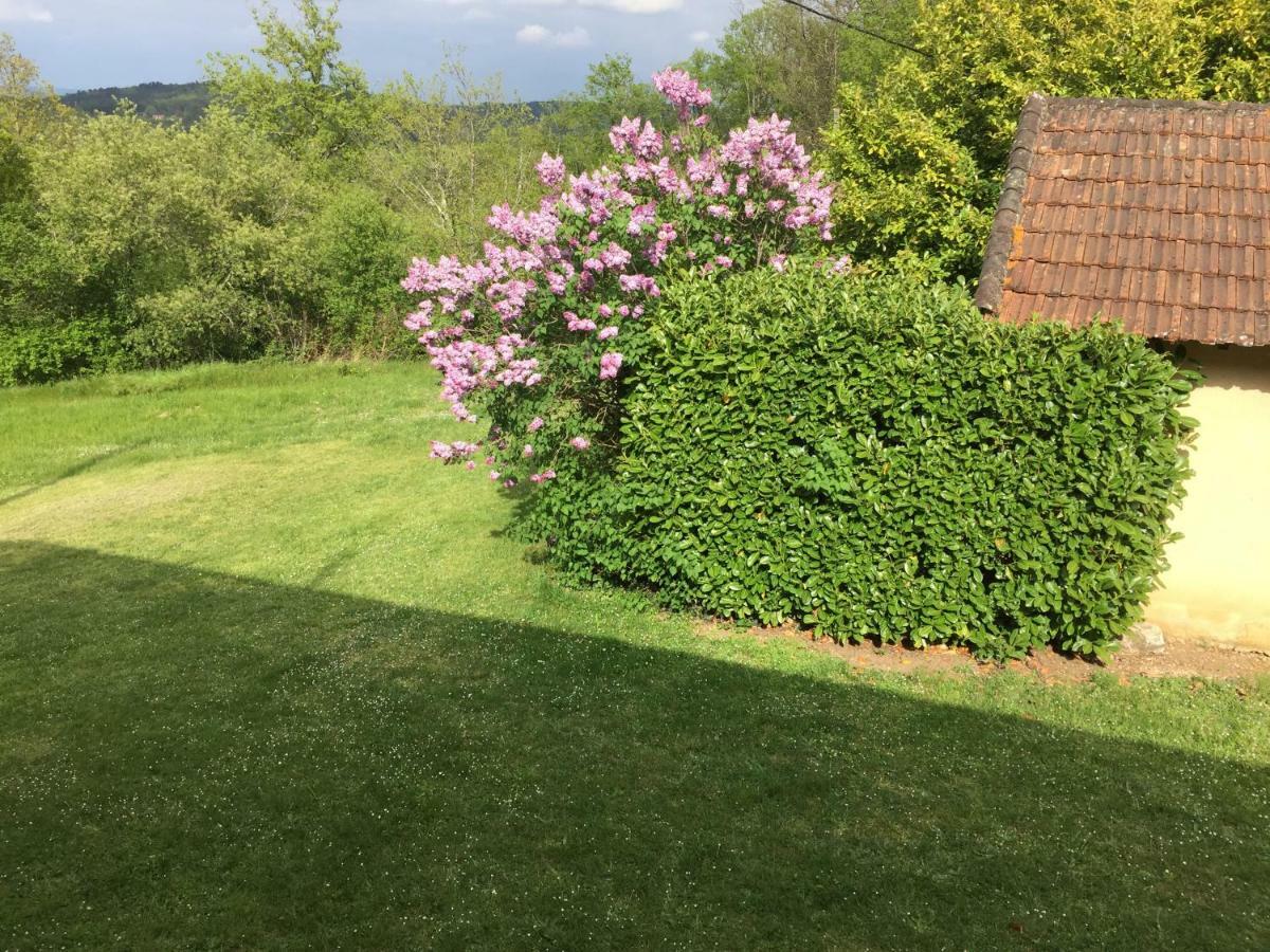Domaine De Lascaux Bed & Breakfast Montignac-Lascaux Dış mekan fotoğraf